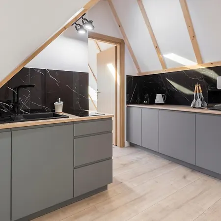 Apartament Osada Gubałówka Na Polanie Pająkówka *