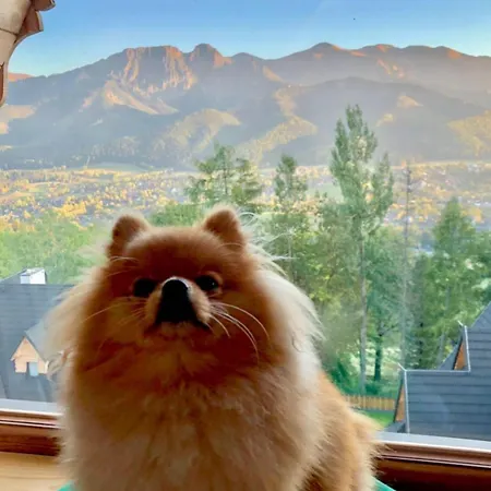 Osada Gubalowka Na Polanie Pajakowka & *