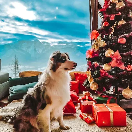 شقة Osada Gubalowka Na Polanie Pajakowka & *